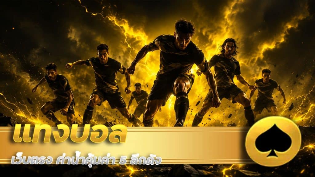 แทงบอล NAMOFA เว็บตรง