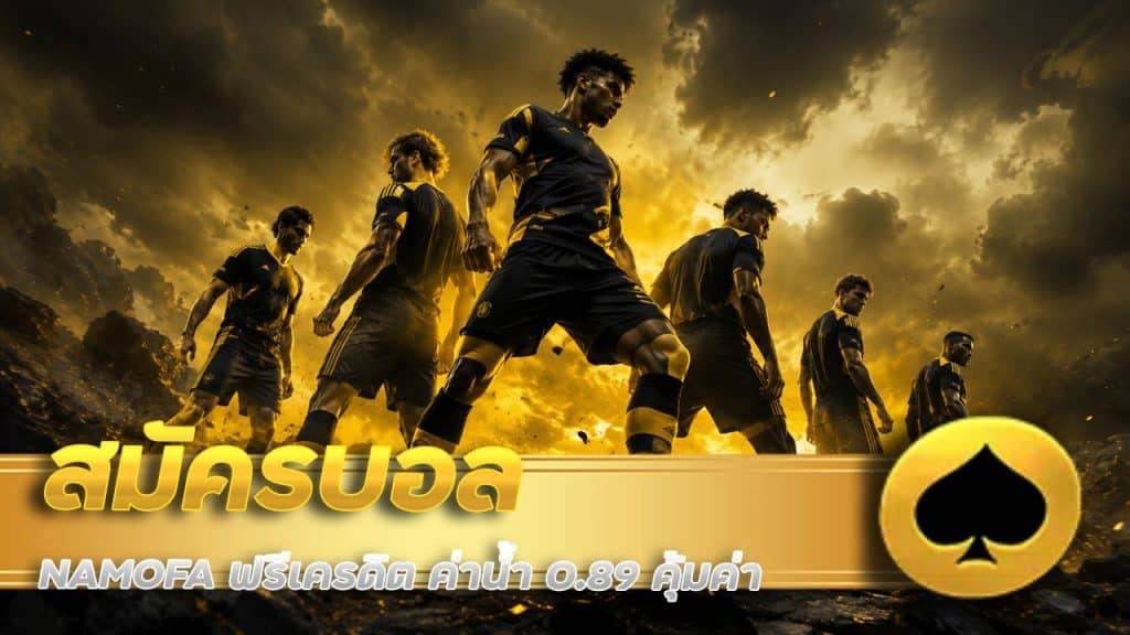 สมัครบอล NAMOFA ฟรีเครดิต